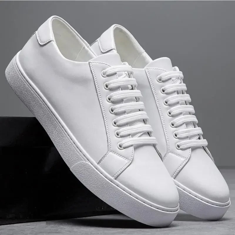 Franklin | Elegant Men's Sneaker