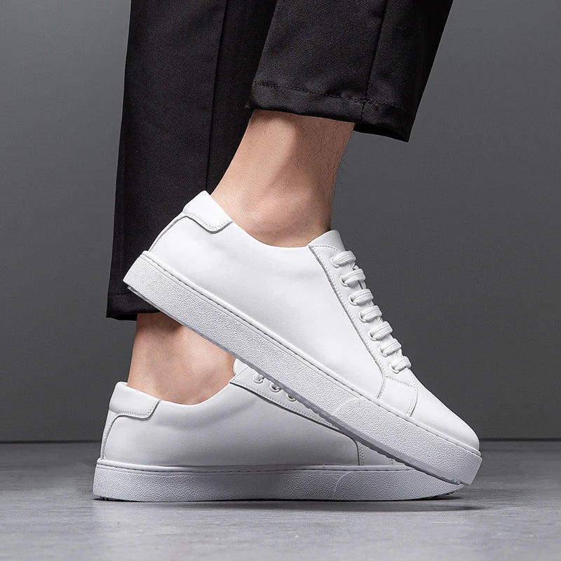 Franklin | Elegant Men's Sneaker