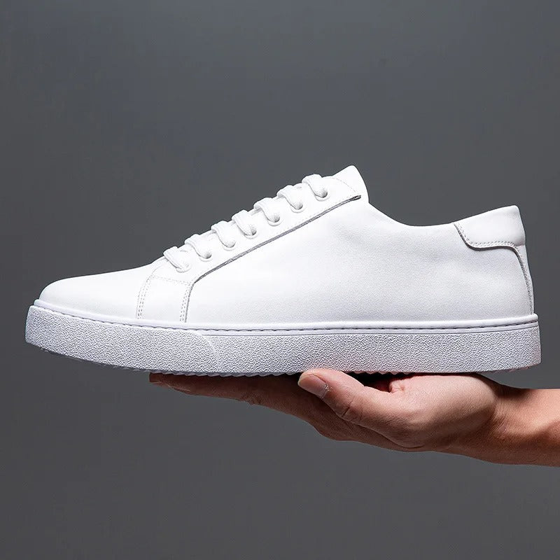 Franklin | Elegant Men's Sneaker